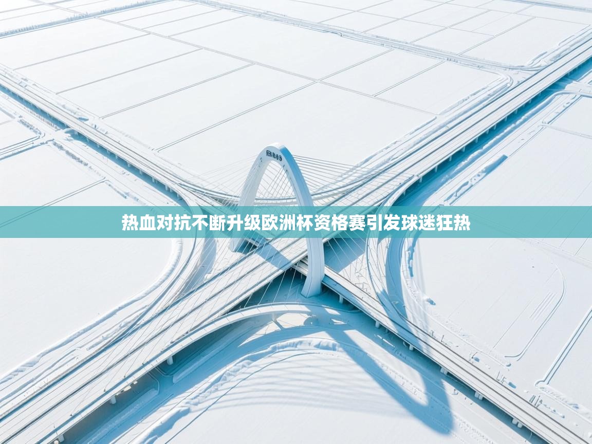 热血对抗不断升级欧洲杯资格赛引发球迷狂热  第2张